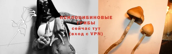 наркотики Михайловка